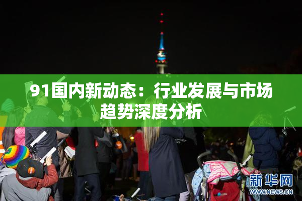 91国内新动态：行业发展与市场趋势深度分析