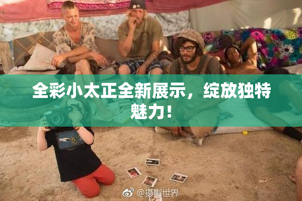 全彩小太正全新展示，绽放独特魅力！