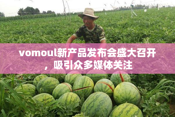 vomoul新产品发布会盛大召开，吸引众多媒体关注
