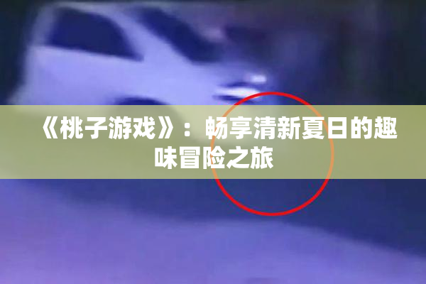《桃子游戏》：畅享清新夏日的趣味冒险之旅