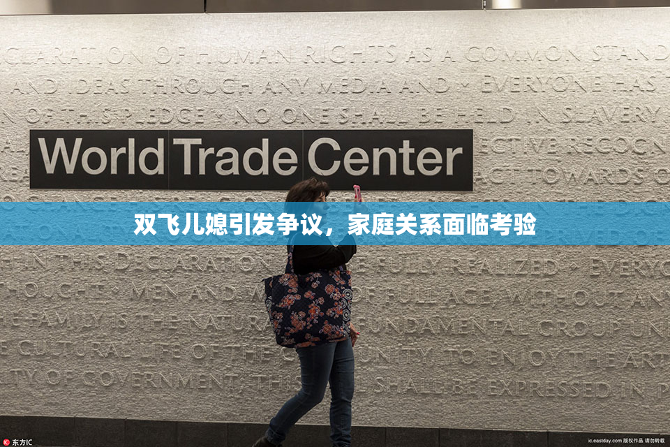 双飞儿媳引发争议，家庭关系面临考验