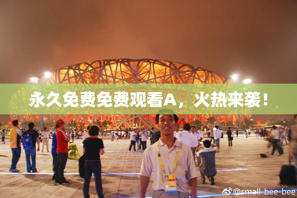 永久免费免费观看A，火热来袭！