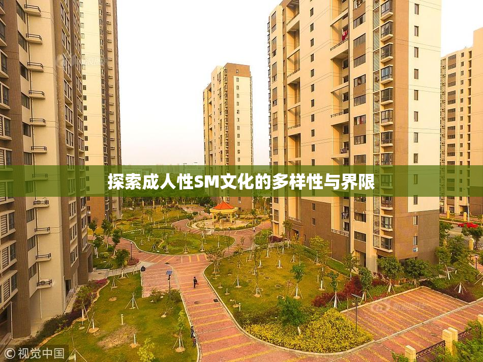 探索成人性SM文化的多样性与界限