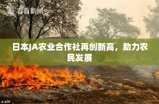 日本JA农业合作社再创新高，助力农民发展