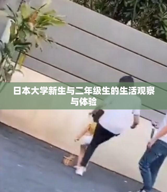 日本大学新生与二年级生的生活观察与体验