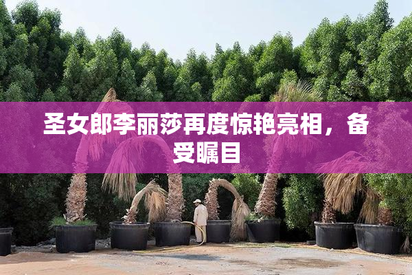 圣女郎李丽莎再度惊艳亮相，备受瞩目