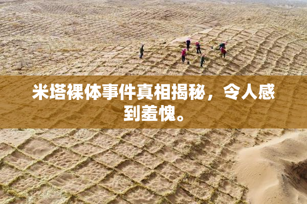 米塔裸体事件真相揭秘，令人感到羞愧。