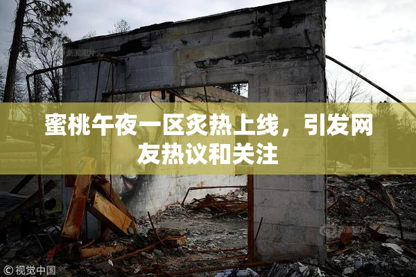 蜜桃午夜一区炙热上线，引发网友热议和关注