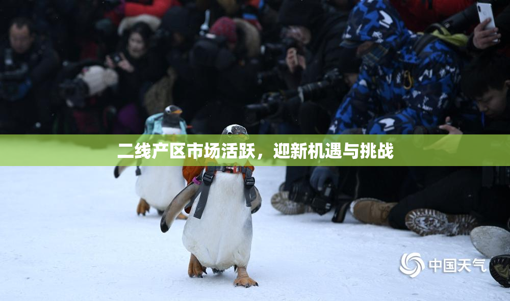 二线产区市场活跃，迎新机遇与挑战