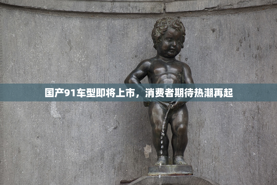 国产91车型即将上市，消费者期待热潮再起