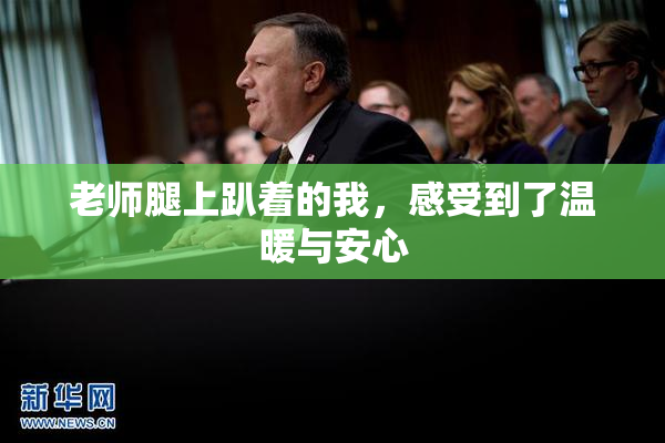 老师腿上趴着的我，感受到了温暖与安心