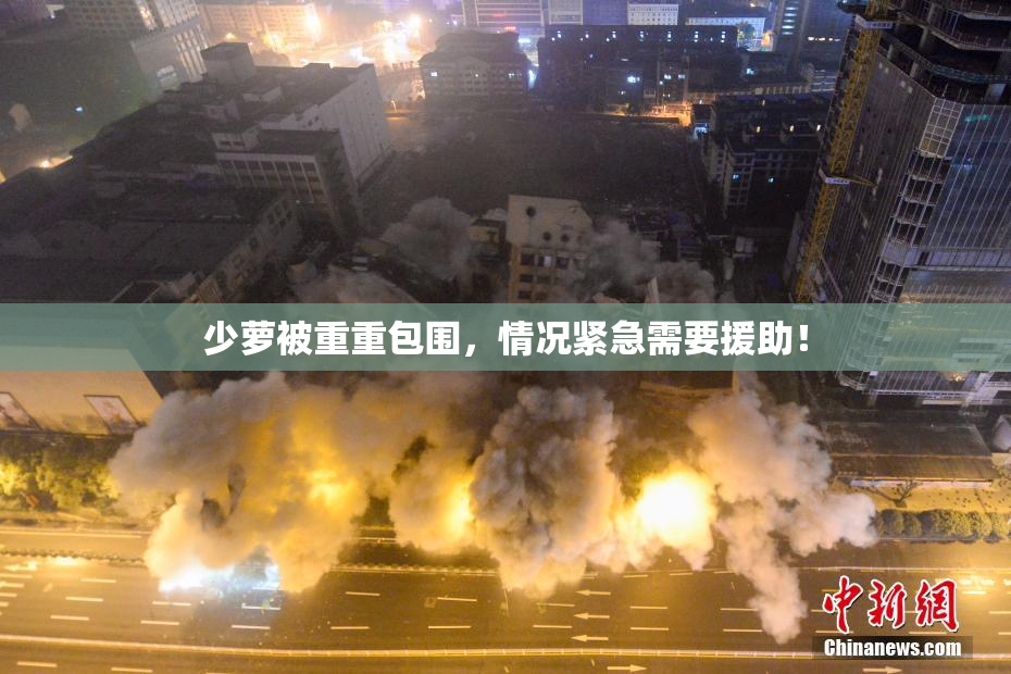 少萝被重重包围，情况紧急需要援助！