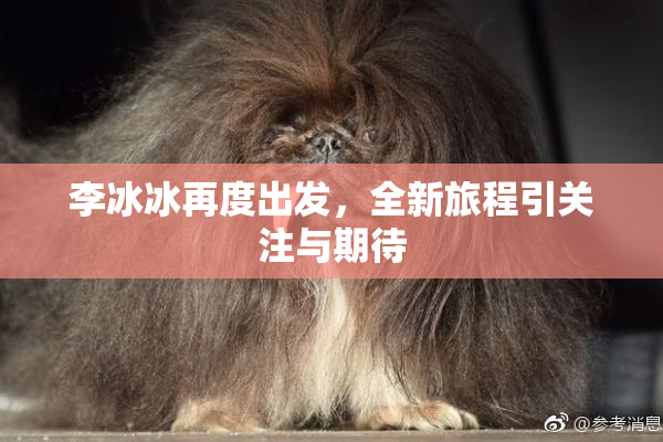 李冰冰再度出发，全新旅程引关注与期待