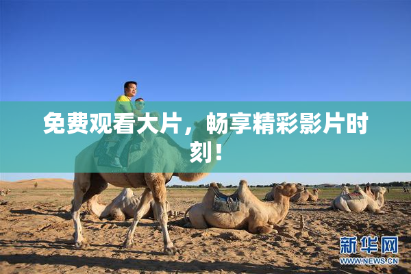 免费观看大片，畅享精彩影片时刻！