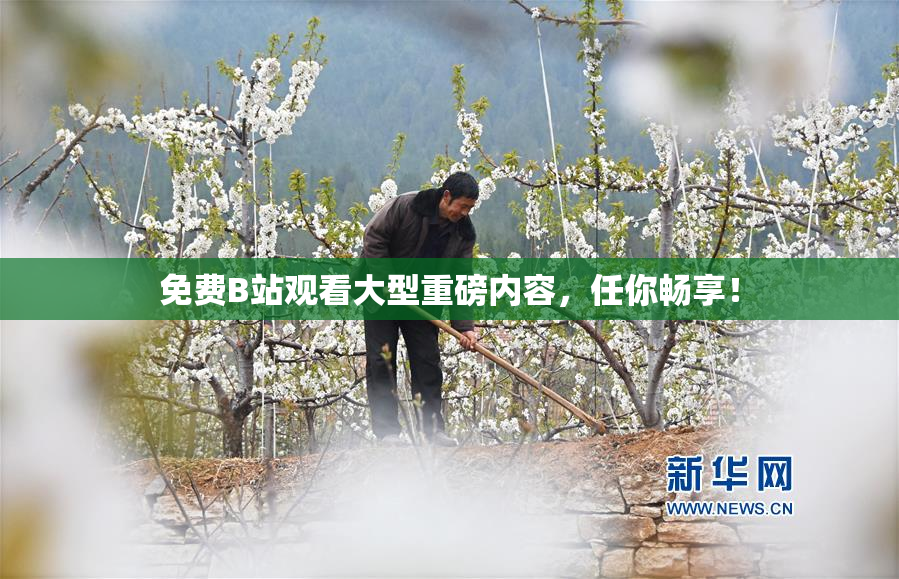 免费B站观看大型重磅内容，任你畅享！