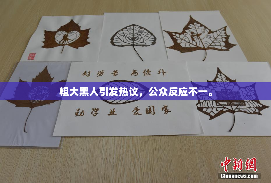 粗大黑人引发热议，公众反应不一。