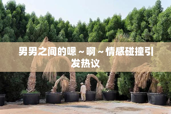 男男之间的嗯～啊～情感碰撞引发热议