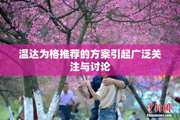温达为格推荐的方案引起广泛关注与讨论
