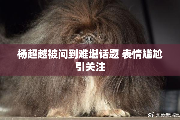 杨超越被问到难堪话题 表情尴尬引关注