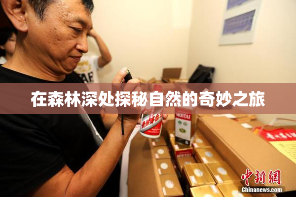 在森林深处探秘自然的奇妙之旅
