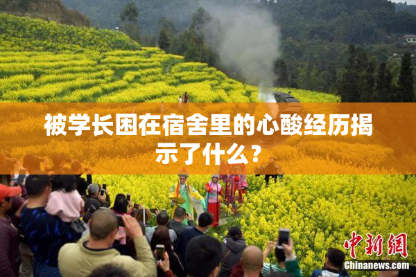 被学长困在宿舍里的心酸经历揭示了什么？