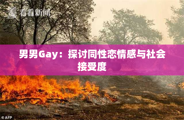 男男Gay：探讨同性恋情感与社会接受度