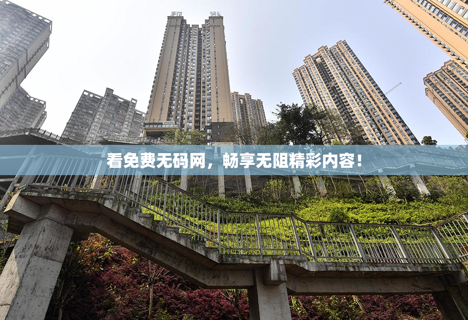 看免费无码网，畅享无阻精彩内容！