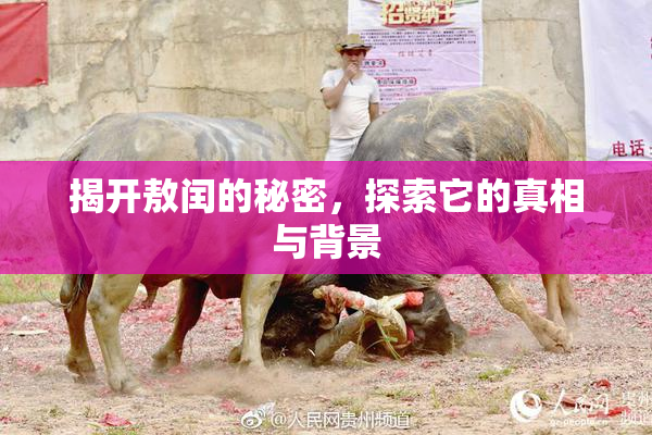 揭开敖闰的秘密，探索它的真相与背景