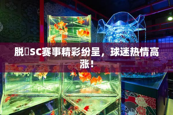 脱糞SC赛事精彩纷呈，球迷热情高涨！