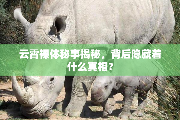 云霄裸体秘事揭秘，背后隐藏着什么真相？