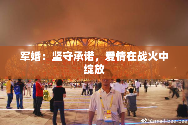 军婚：坚守承诺，爱情在战火中绽放