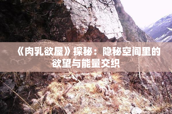《肉乳欲屋》探秘：隐秘空间里的欲望与能量交织