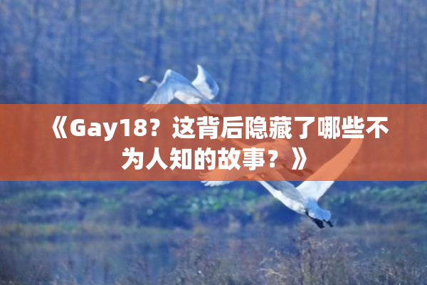 《Gay18？这背后隐藏了哪些不为人知的故事？》