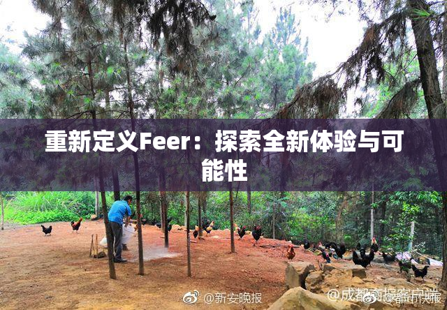重新定义Feer：探索全新体验与可能性
