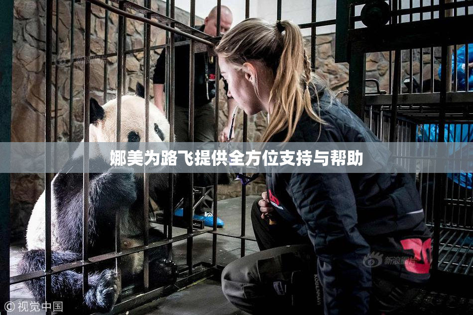娜美为路飞提供全方位支持与帮助