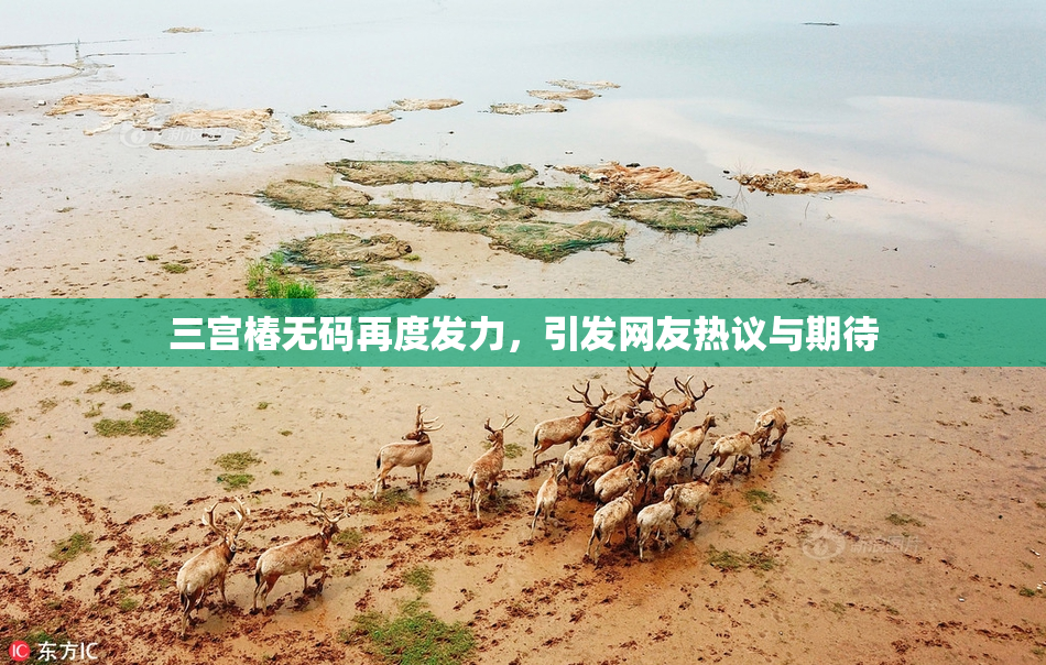 三宫椿无码再度发力，引发网友热议与期待