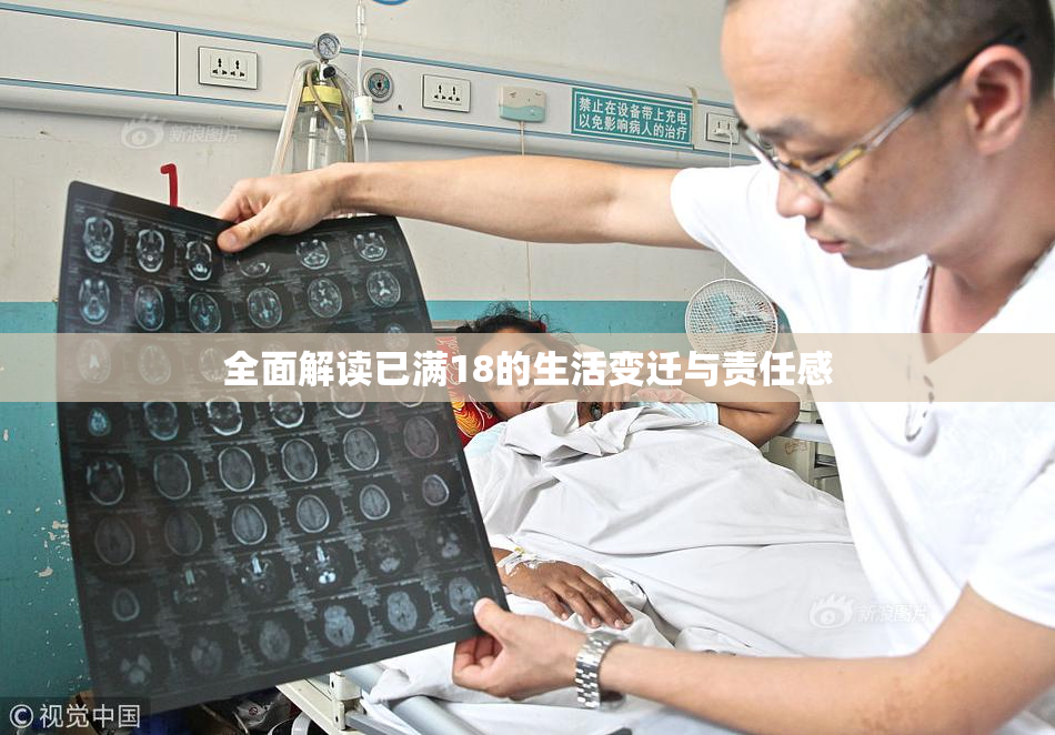 全面解读已满18的生活变迁与责任感