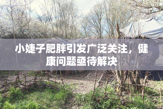 小婕子肥胖引发广泛关注，健康问题亟待解决
