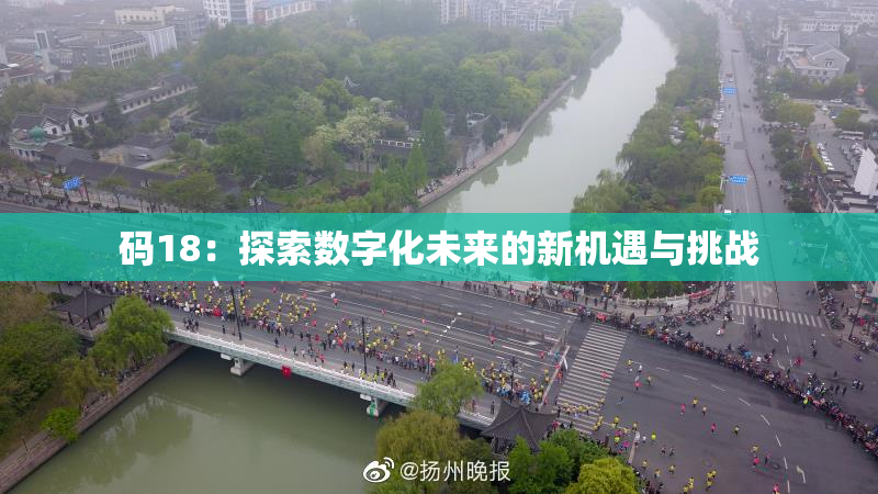 码18：探索数字化未来的新机遇与挑战