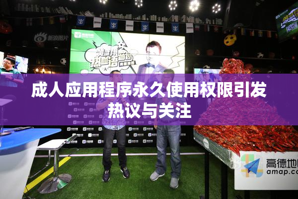 成人应用程序永久使用权限引发热议与关注