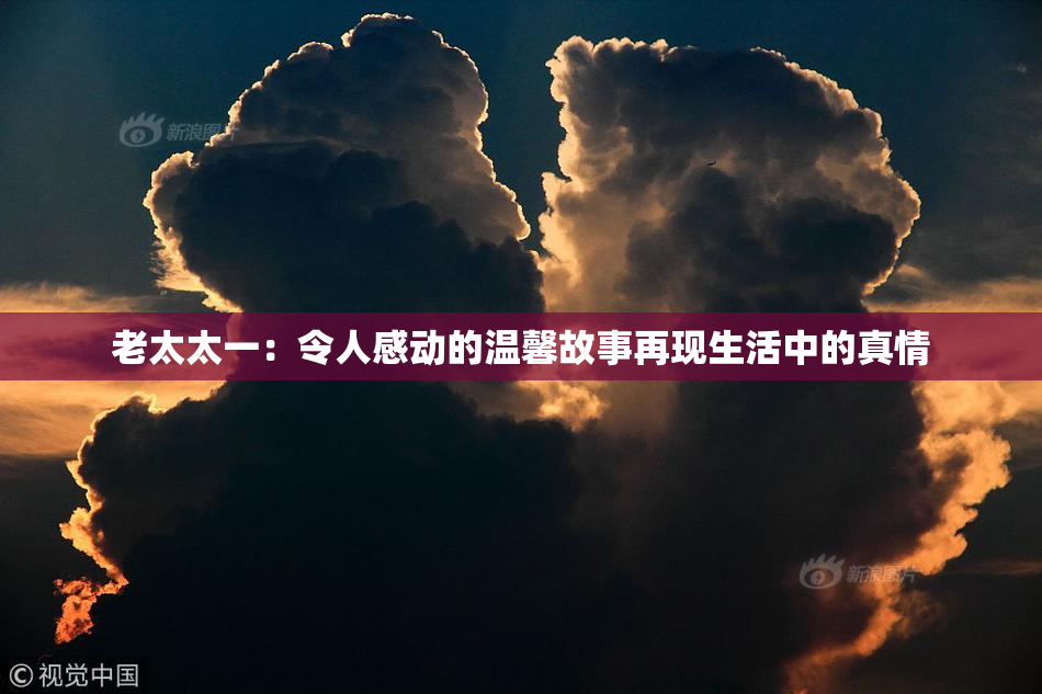 老太太一：令人感动的温馨故事再现生活中的真情