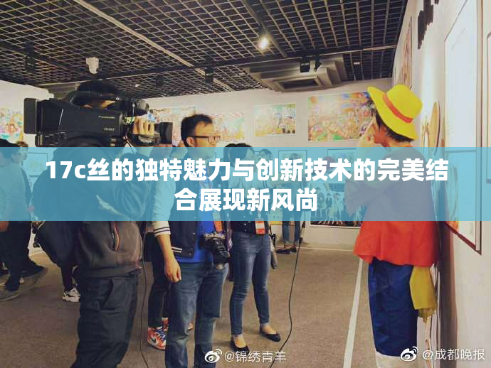 17c丝的独特魅力与创新技术的完美结合展现新风尚