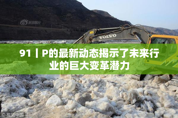 91丨P的最新动态揭示了未来行业的巨大变革潜力