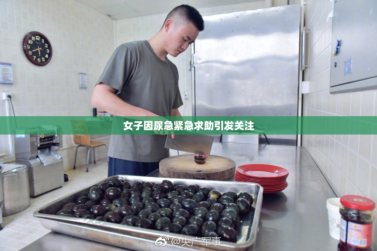 女子因尿急紧急求助引发关注