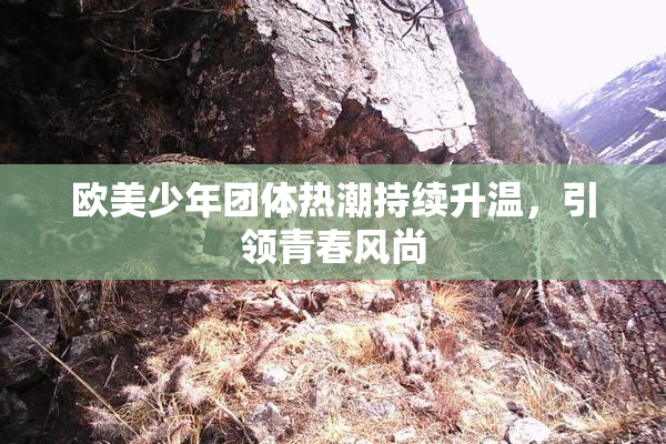 欧美少年团体热潮持续升温，引领青春风尚