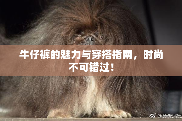 牛仔裤的魅力与穿搭指南，时尚不可错过！