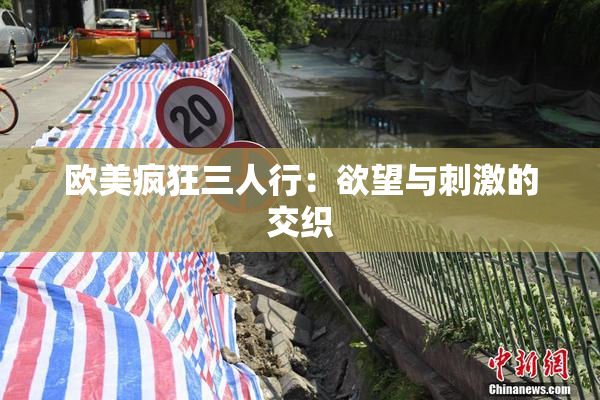 欧美疯狂三人行：欲望与刺激的交织