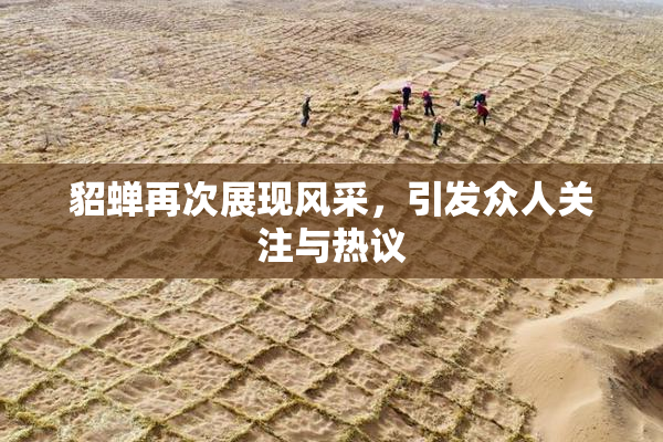貂蝉再次展现风采，引发众人关注与热议