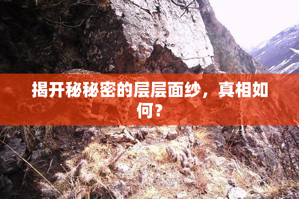 揭开秘秘密的层层面纱，真相如何？