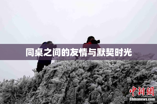 同桌之间的友情与默契时光